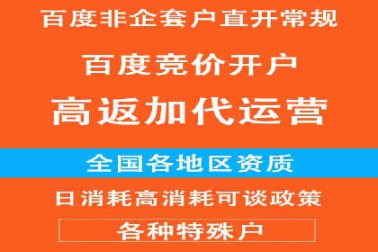 网络推广竞价策略解析与应用案例